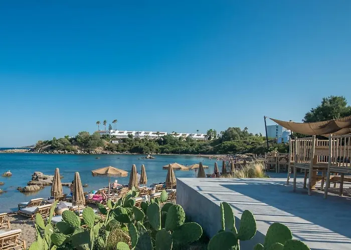 Amira Rhodes Asgourou