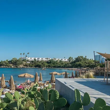 Amira Rhodes Asgourou